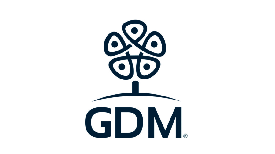 GDM Internacional - Original logo vertical version color RGB_a
