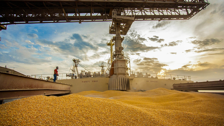 Movimentação Porto de Paranaguá  -  Paranaguá, 10/06/2019  -  Foto: Cláudio Neves/APPA