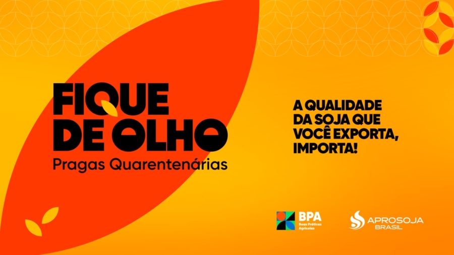 Campanha_PQ_Live-08.09