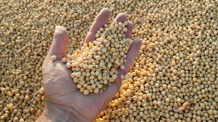 e1bc78189db643938ca2be7db00866b5_858x483