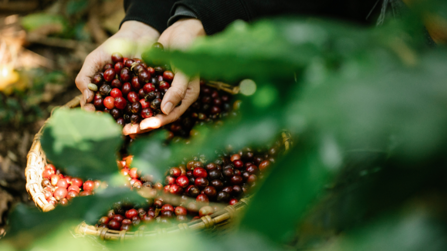 9ea8e649-4023-409c-907c-dc0432dc48d1