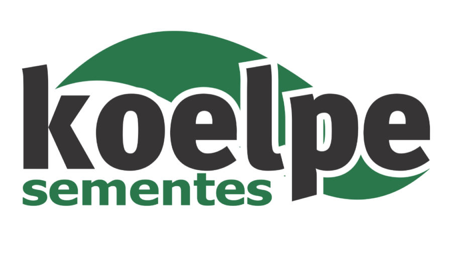 Design sem nome (6)
