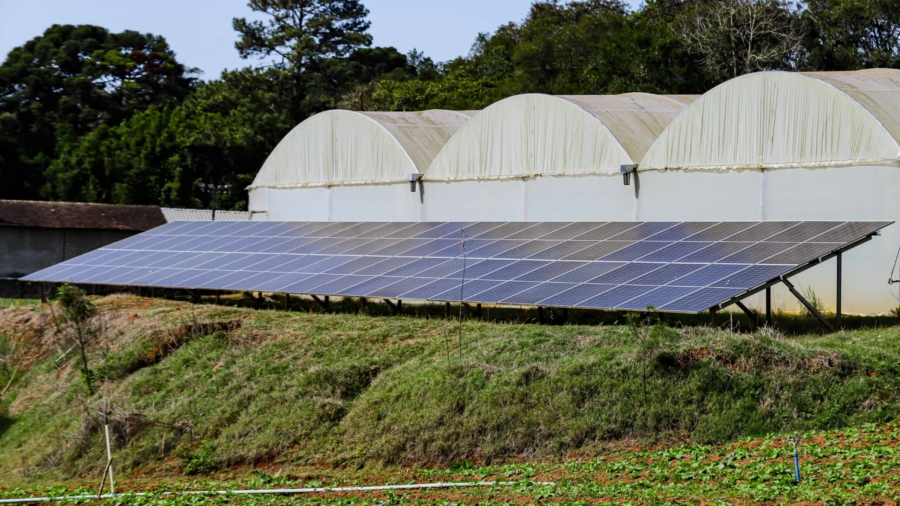 Colombo, 22 de maio de 2024 - Sistema de captura da energia solar com placas fotovoltaicas em propriedade rural em Colombo.