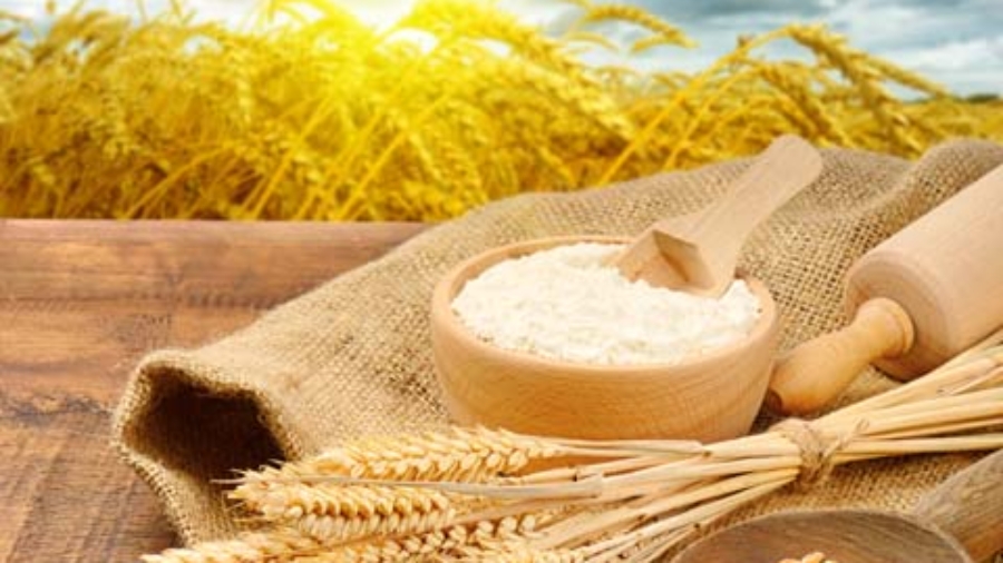 shutterstock_125608415
