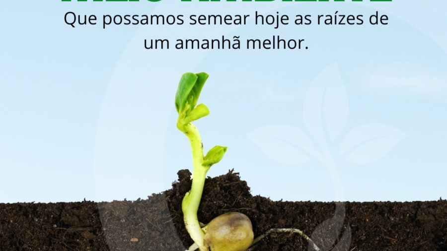 WhatsApp Image 2025-06-05 at 11.33.02