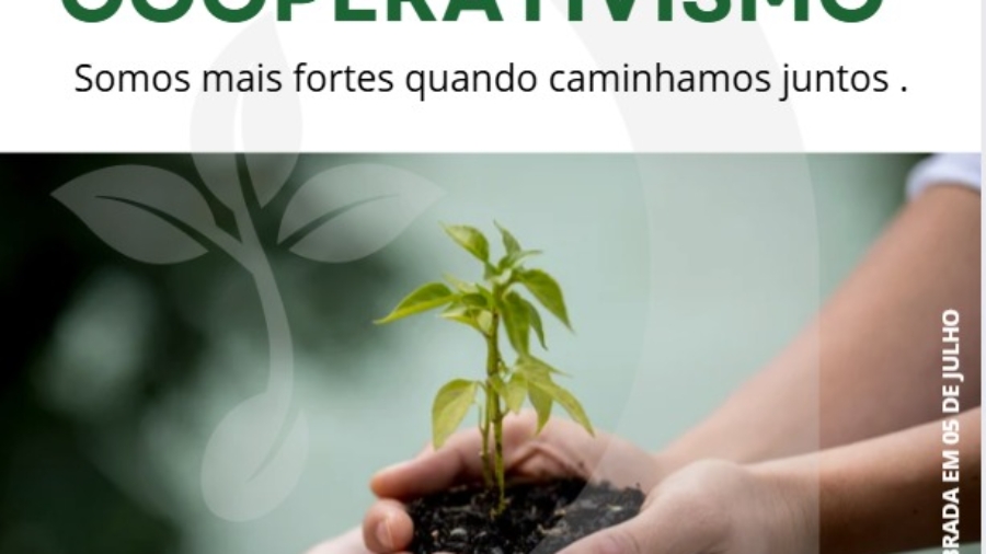 Cooperativismo - News