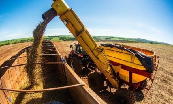 Logística e propriedade intelectual da soja no Mercosul serão debatidas do Mercosoja 2025