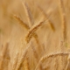 e8e5027f378c4f7bb908c2b27879fae4_858x483
