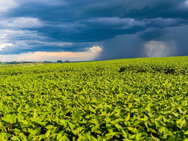 Image of rain-laden clouds arriving over a large soy plantation in southern Brazil. Agriculture and grain commodities for export. Agricultural production fields. Storm.