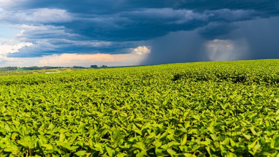Image of rain-laden clouds arriving over a large soy plantation in southern Brazil. Agriculture and grain commodities for export. Agricultural production fields. Storm.