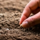 cuidados-com-a-semente-de-soja-no-pre-plantio-garantem-teto-produtivo-desejavel-para-a-cultura-842x384_0