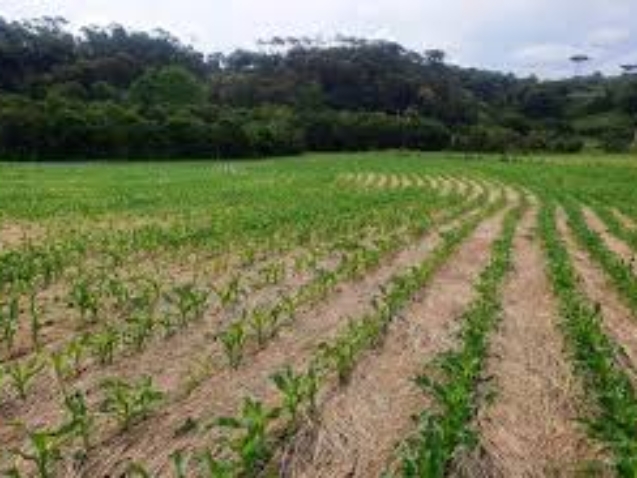 images (1)