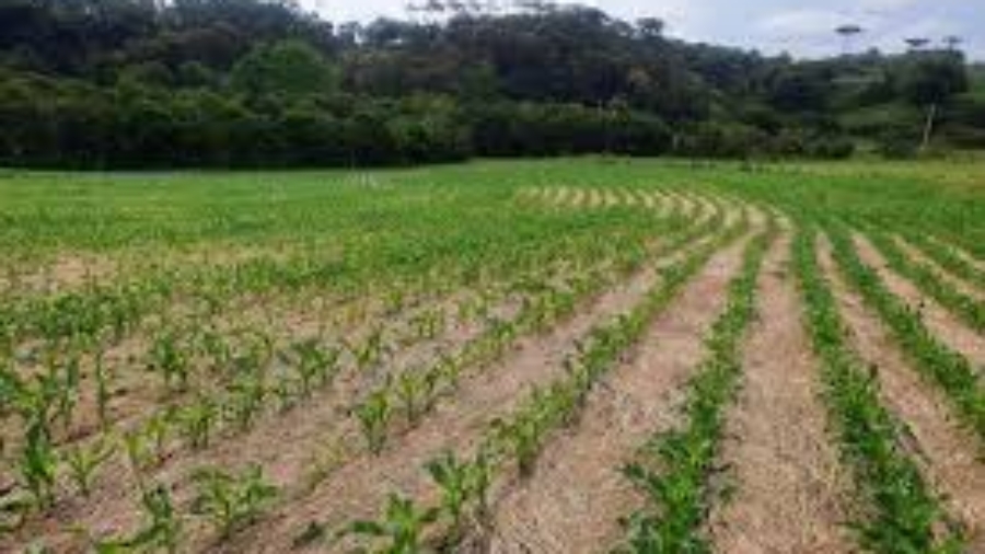 images (1)