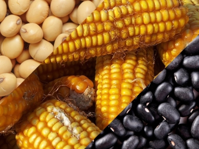 f93a9da12dcb4dcbb1b3efc7a8a1457a_858x483