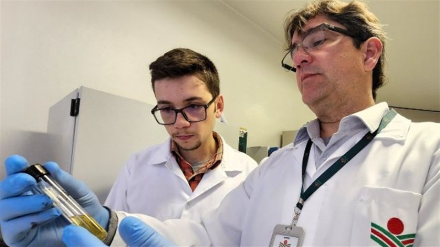 117290052a91495d83d5b0235a1681ad_858x483