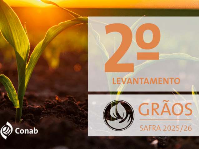 13-11-25-graos-destaque-novo-site