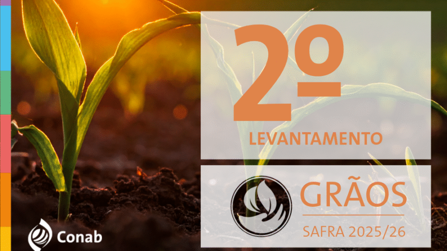 13-11-25-graos-destaque-novo-site