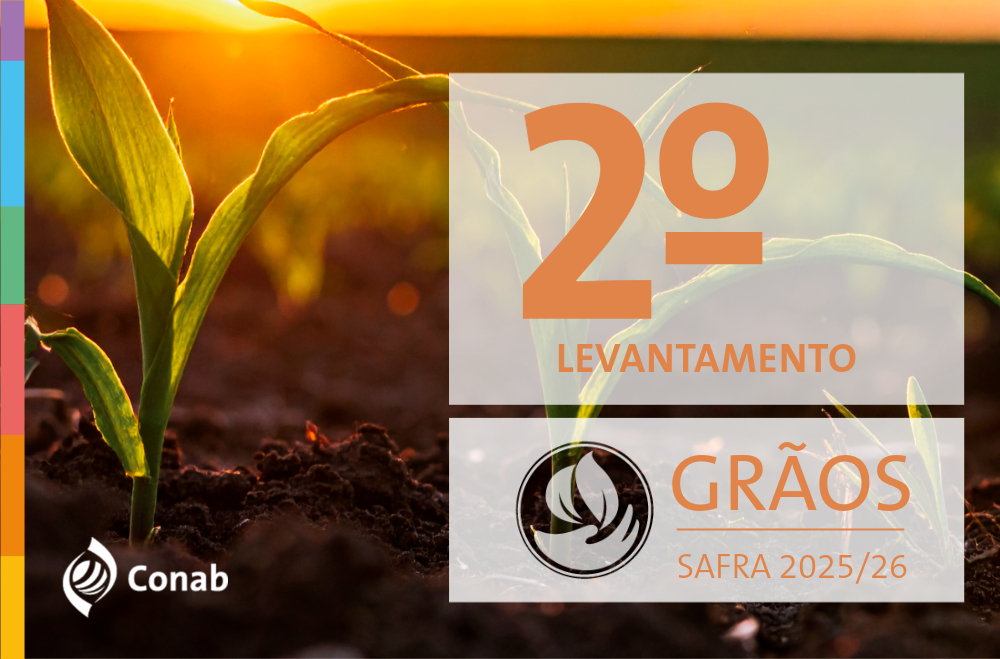 13-11-25-graos-destaque-novo-site