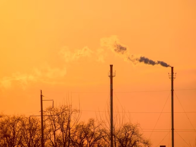 WhatsApp Image 2025-11-06 at 09.16.59