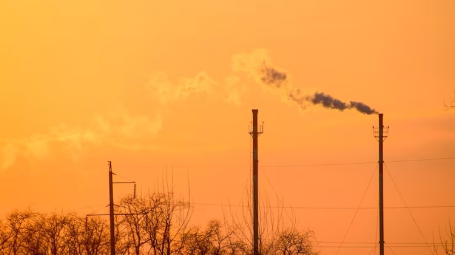 WhatsApp Image 2025-11-06 at 09.16.59