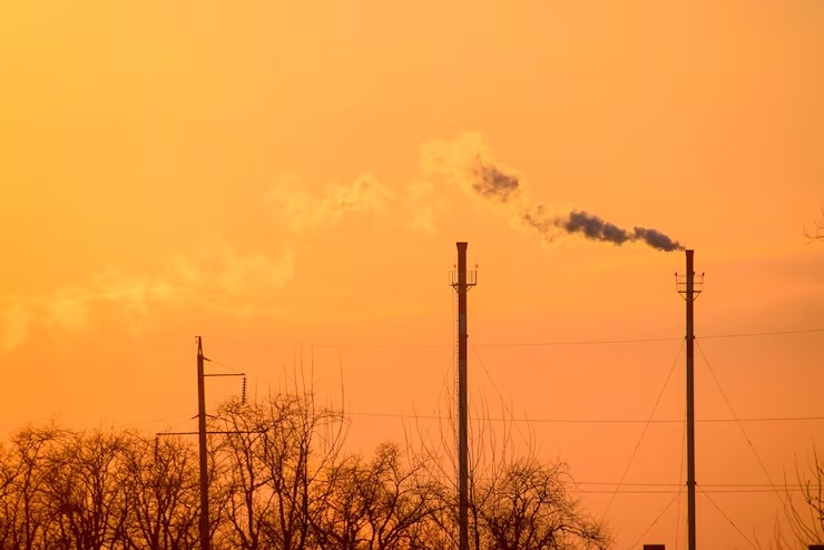 WhatsApp Image 2025-11-06 at 09.16.59