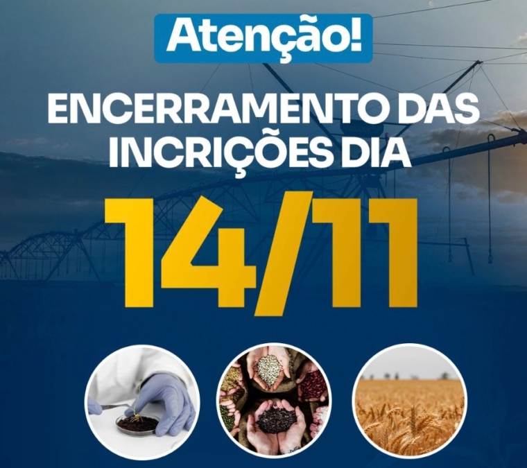 WhatsApp Image 2025-11-13 at 09.47.06