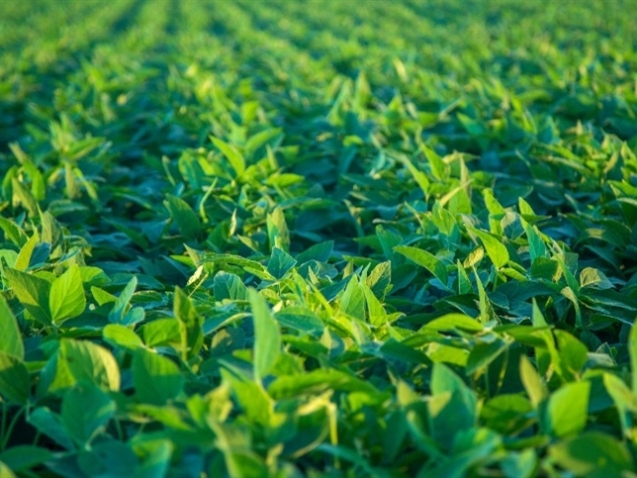 c282232b066b4080974bc2ac32be9ee2_858x483