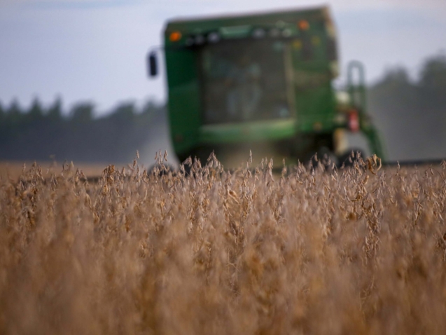 24/02/2021 - Cascavel, colheita de Soja