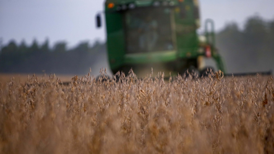 24/02/2021 - Cascavel, colheita de Soja