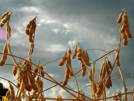 60a84293ef984052b02df407484a2826_858x483