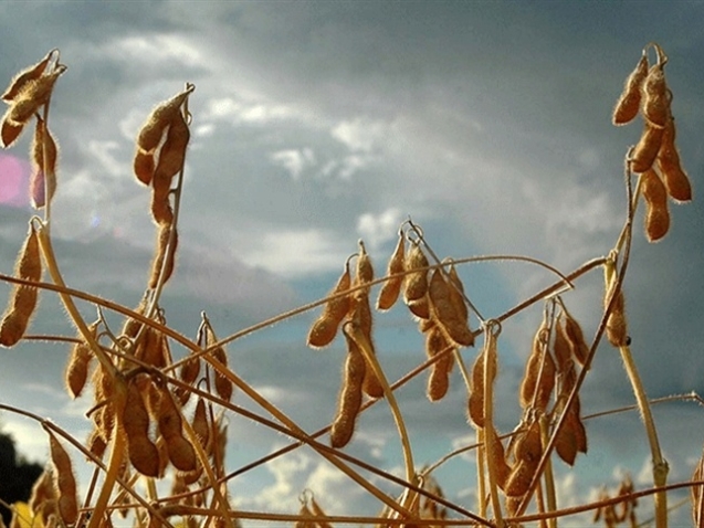 60a84293ef984052b02df407484a2826_858x483