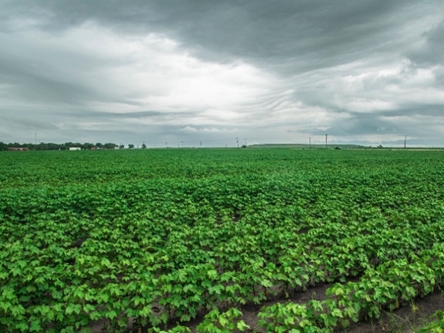 78293f90c5e64bd4bfd555827e481eb1_858x483