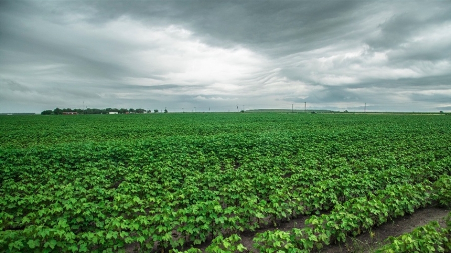 78293f90c5e64bd4bfd555827e481eb1_858x483