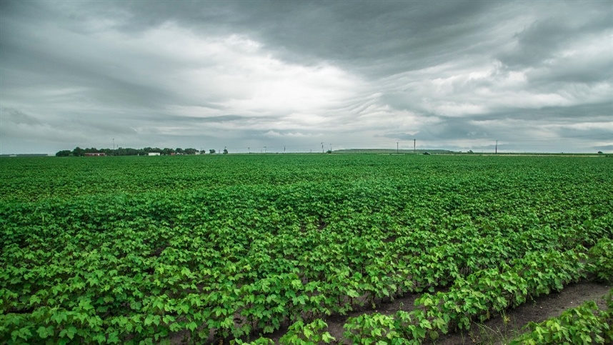 78293f90c5e64bd4bfd555827e481eb1_858x483