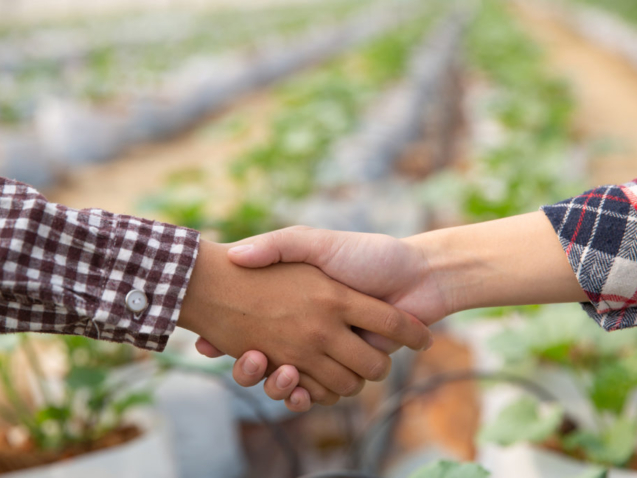 Blog-Assinei-Cooperativas-Agropecuarias-1024x682