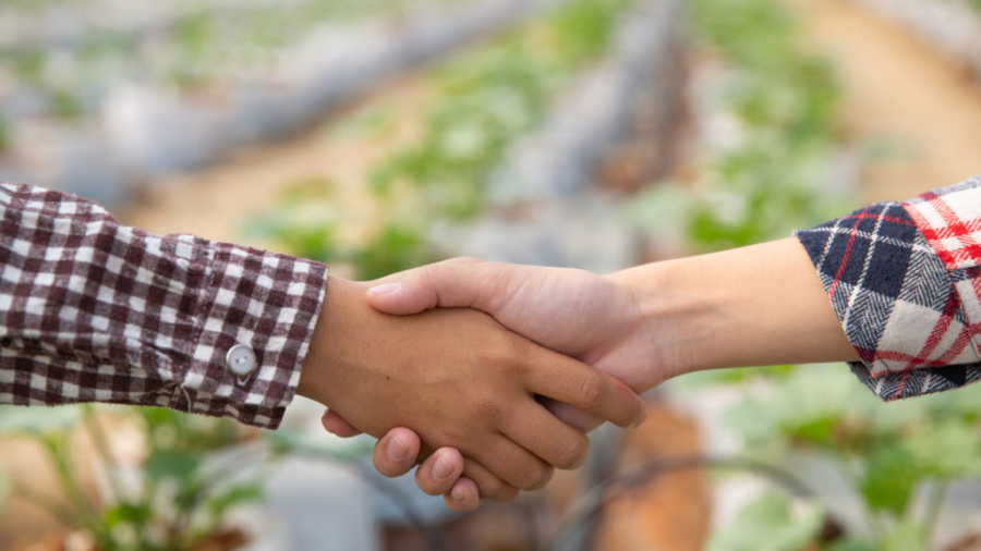 Blog-Assinei-Cooperativas-Agropecuarias-1024x682