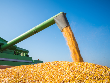 Producao-de-graos-Mapa-MIA