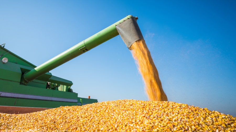 Producao-de-graos-Mapa-MIA