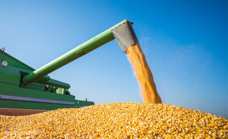 Producao-de-graos-Mapa-MIA