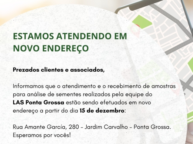 WhatsApp Image 2025-12-15 at 17.49.02