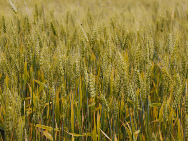 a497322b-5574-45b5-9678-0cd0b210648d