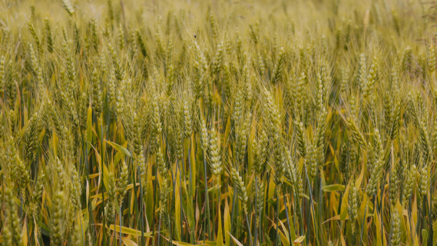 a497322b-5574-45b5-9678-0cd0b210648d