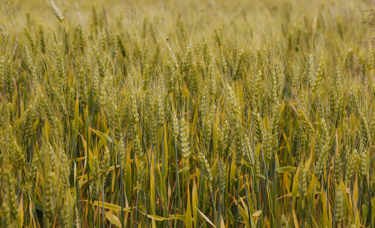 a497322b-5574-45b5-9678-0cd0b210648d