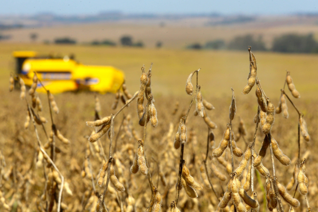 Colheita de soja. Fotos:Jaelson Lucas / Arquivo AEN