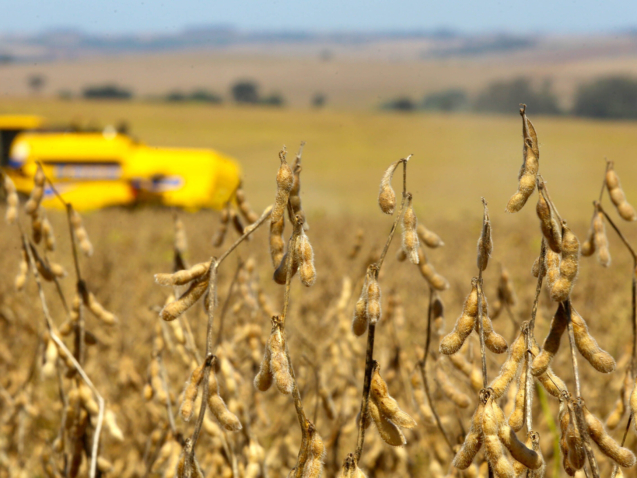 Colheita de soja. Fotos:Jaelson Lucas / Arquivo AEN