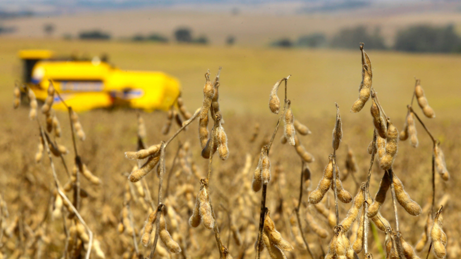 Colheita de soja. Fotos:Jaelson Lucas / Arquivo AEN