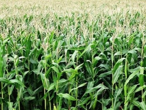 640d291ae8584c0183f39dac22092743_858x483