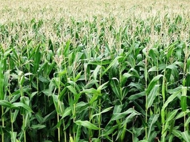 640d291ae8584c0183f39dac22092743_858x483