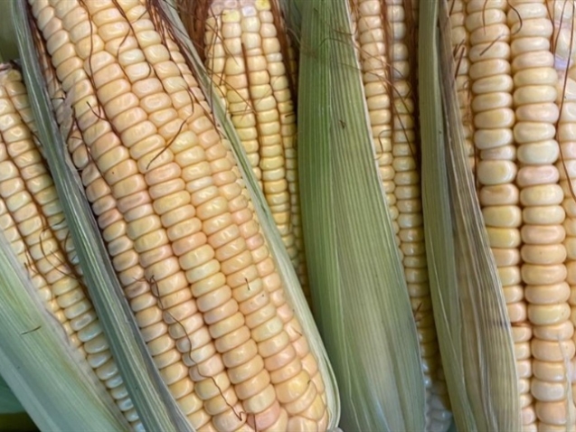 6a2230b7fc794104884b0f25f282975d_858x483