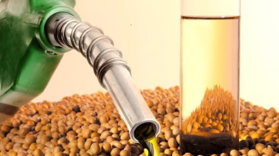 WhatsApp Image 2026-01-15 at 10.00.26